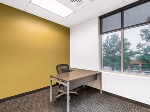 1 Person Virtual Office