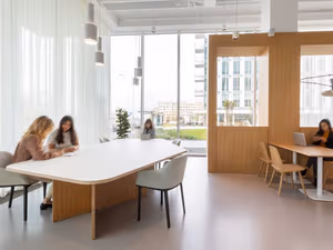 1 Person Virtual Office