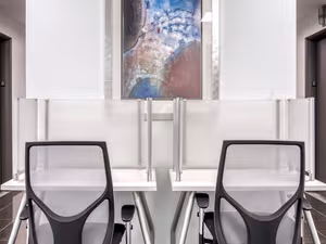 1 Person Virtual Office