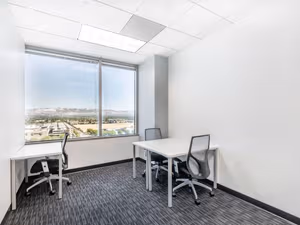 1 Person Virtual Office