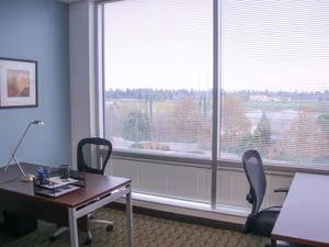 1 Person Virtual Office