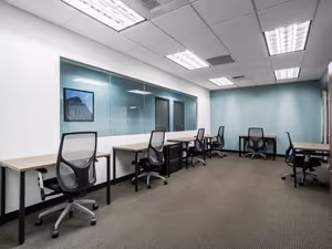 1 Person Virtual Office