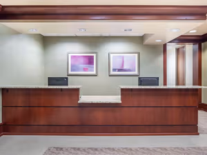 1 Person Virtual Office