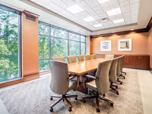 1 Person Virtual Office