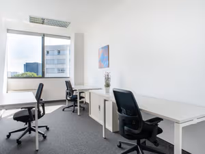 3 Person Private Office