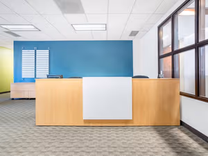 1 Person Virtual Office