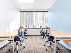 1 Person Virtual Office