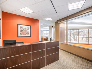 1 Person Virtual Office