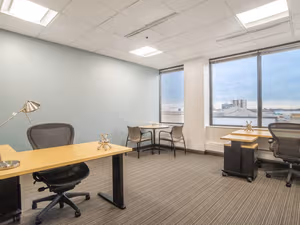 1 Person Virtual Office