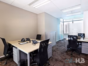 1 Person Virtual Office