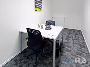 1 Person Virtual Office