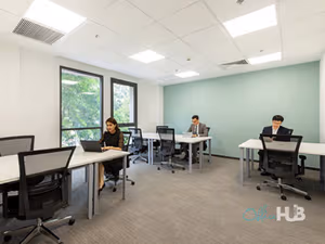 1 Person Virtual Office