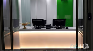 1 Person Virtual Office