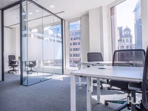 1 Person Virtual Office