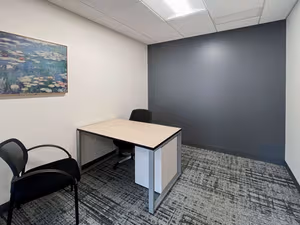 1 Person Virtual Office
