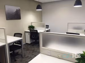 1 Person Virtual Office