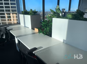 1 Person Coworking Desk