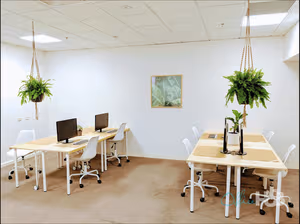1 Person Coworking Desk