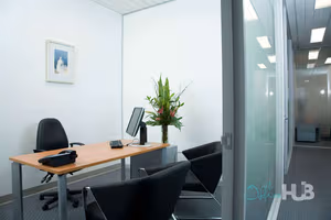 1 Person Virtual Office