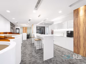 1 Person Virtual Office