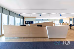 1 Person Virtual Office