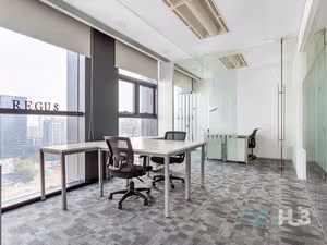 1 Person Virtual Office