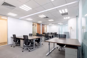 1 Person Virtual Office