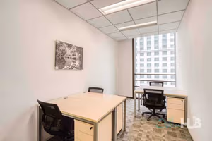 1 Person Virtual Office