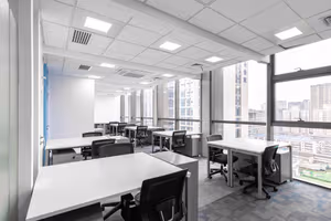 1 Person Virtual Office