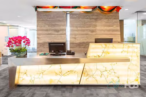 1 Person Virtual Office