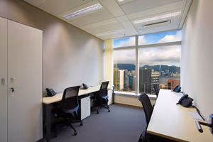 1 Person Virtual Office