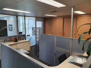 4 Person Shared Office