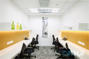 1 Person Virtual Office