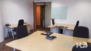 1 Person Virtual Office