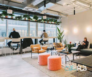 15 Person Enterprise Suite