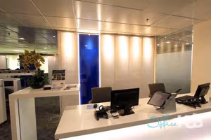 1 Person Virtual Office