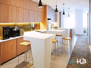 1 Person Virtual Office