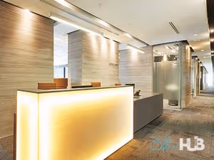 1 Person Virtual Office