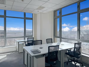 3 Person Private Office