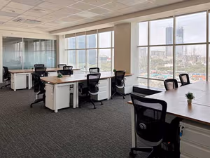 1 Person Virtual Office