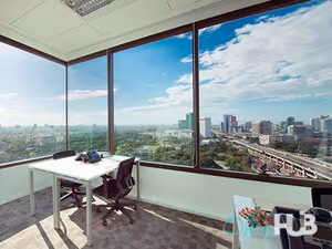 1 Person Virtual Office