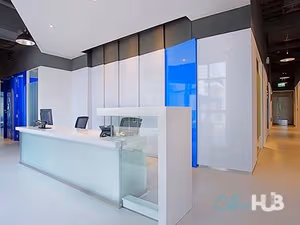 1 Person Virtual Office