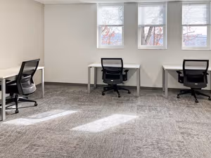 1 Person Virtual Office
