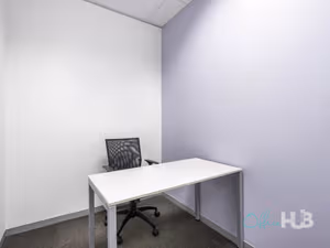 1 Person Virtual Office