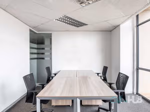 1 Person Virtual Office