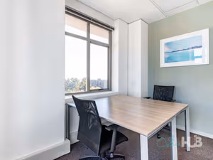 1 Person Virtual Office