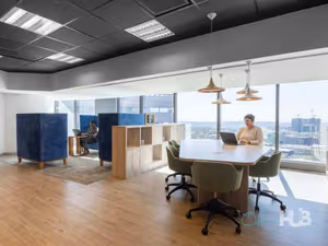 1 Person Virtual Office