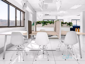 1 Person Virtual Office