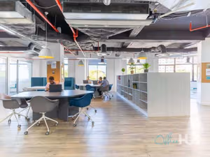 1 Person Virtual Office