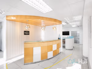 1 Person Virtual Office